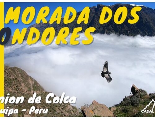 A Morada dos Condores – Canion del Colca