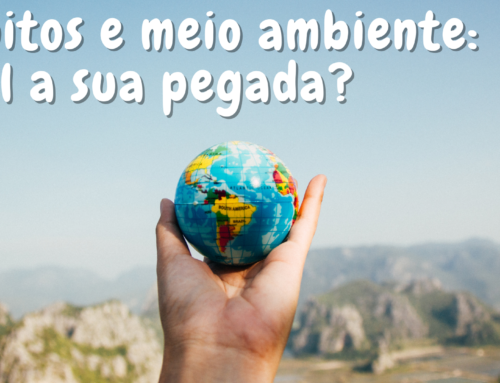 Hábitos e meio ambiente: qual a sua pegada?